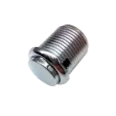 24 mm Chrome Button